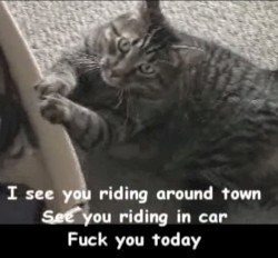 Fuck You (Riding in Car)