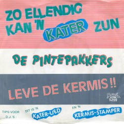 Zo ellendig kan ’n kater zijn