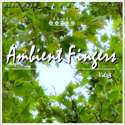 Ambient Fingers, Vol. 8