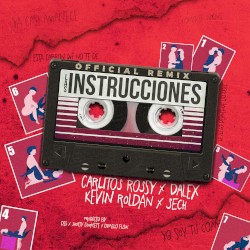 Las instrucciones (remix)