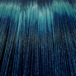 Interstellar Phoenix