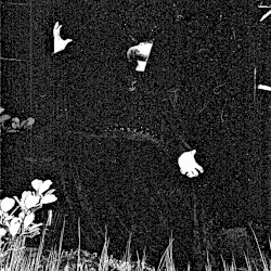 Wampyriskra Morte