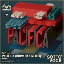 Pacifica (Burr Oak remix)
