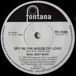 Spy in the House of Love