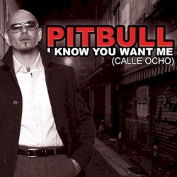 I Know You Want Me (Calle Ocho)