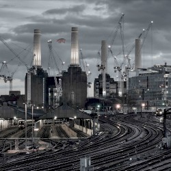 Animals (2018 remix)