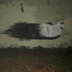 The Ghost / A Seed a Day