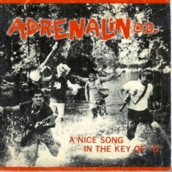 A Nice Song in the Key of D