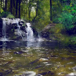 escape to anywhere
