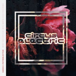 Worst Day Ever (Disco Fries Remix)