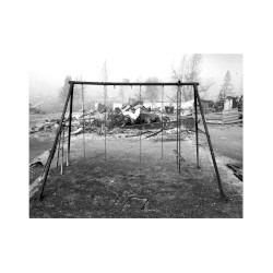 Extinction Process IV