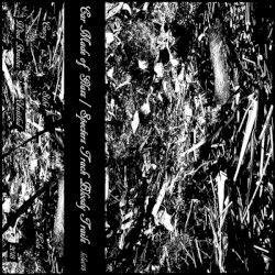 Wind Brushes\\Untitled