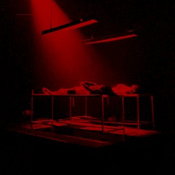 Excerpt From an Atypical Brain Damage