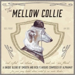 The Mellow Collie