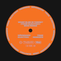 What Else Is There? (Wh0 remix)