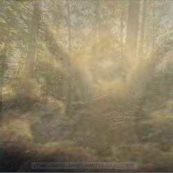 (like) Christs Naked Ice