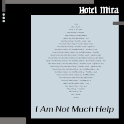 I Am Not Much Help