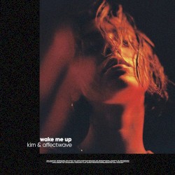 Wake Me Up