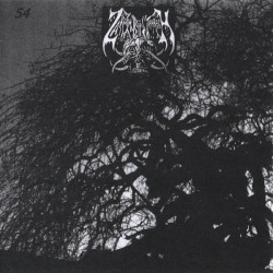 Demo 54 - Old Tracks