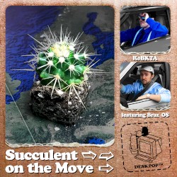 Succulent on the Move