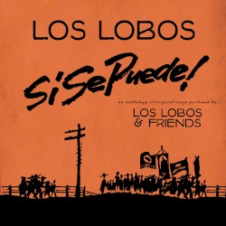 Si se puede