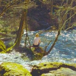 Looking for an Island