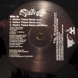 Raida's Theme (Remix)
