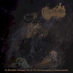 La Escisión Acausal: Por La Vía Inversa Hacia La Descarnación