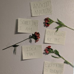 sometimes i am overcome by the idea that everything is ruined