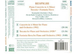 Piano Concerto in A minor / Toccata / Fantasia Slava