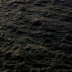 Pale Ribbons Tossed into the Dark