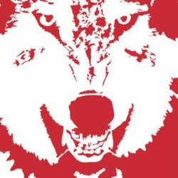 The Nethack Dictionary