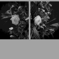 Absence