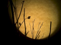 Here Comes The Acoustic Season