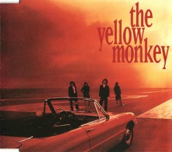 聖なる海とサンシャイン