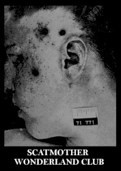 Scatmother / Wonderland Club
