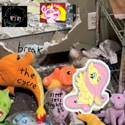 break the cycle / sleepless nights