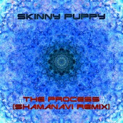The Process (Shamanavi Remix)