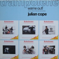 Trampolene Warne Out!