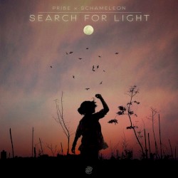 Search for Light