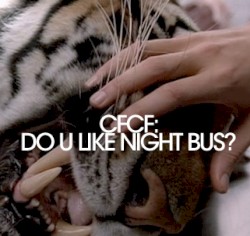 Do U Like Night Bus? Mix