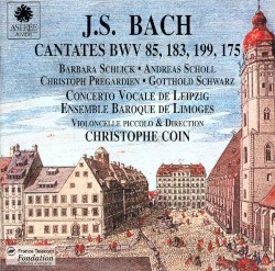 Cantatas with Violoncello Piccolo