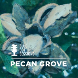Pecan Grove