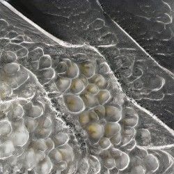 Nevermind the Furthermore, the Plea is Self-Defense