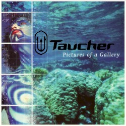 Pictures of a Gallery