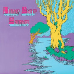 Another Side of Skinshape