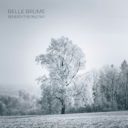 Beneath the Pale Sky