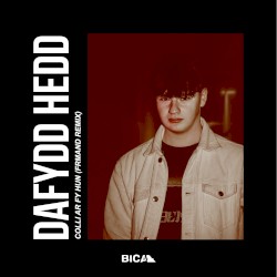 Colli Ar Fy Hun (FRMAND Remix)