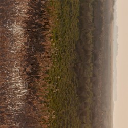 Traversing Timelines