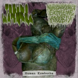 Human Kombucha